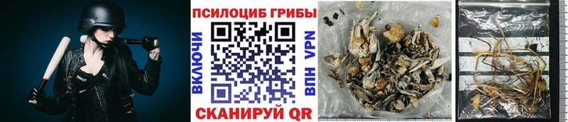 Галлюциногенные грибы мицелий  Котельнич 